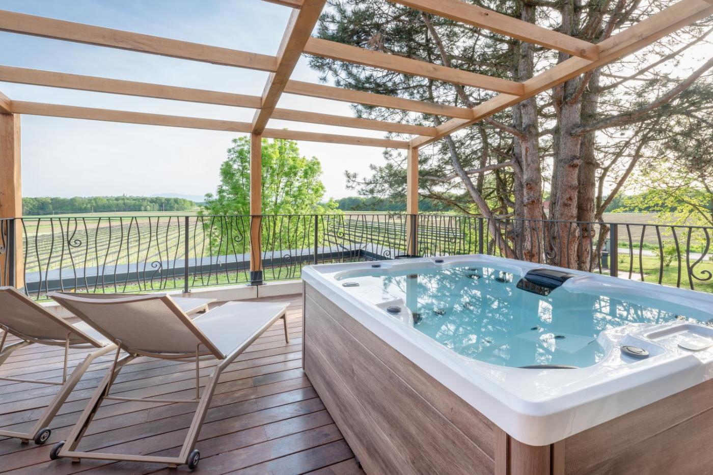Hotel with private pool - Hiša Marija House